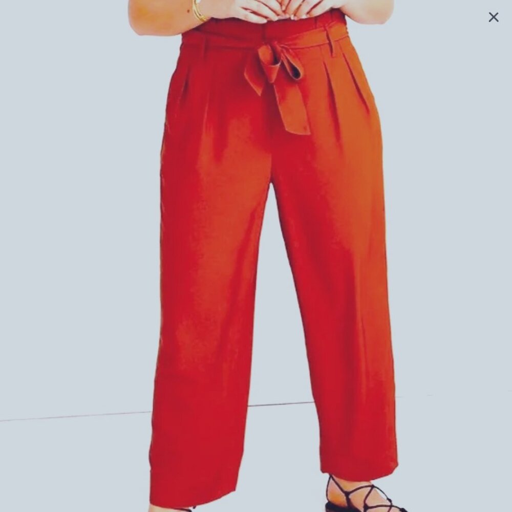 MADEWELL Drapey  Waist Pants size 10 Etruscan clay NWOT